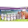 Vita2You Frankincense Extract 600 mg - 180 Capsules - 85%
