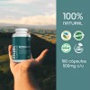 Suplemento Espirulina Orgánica 180 Cápsulas De 500 Mg 100% Natural