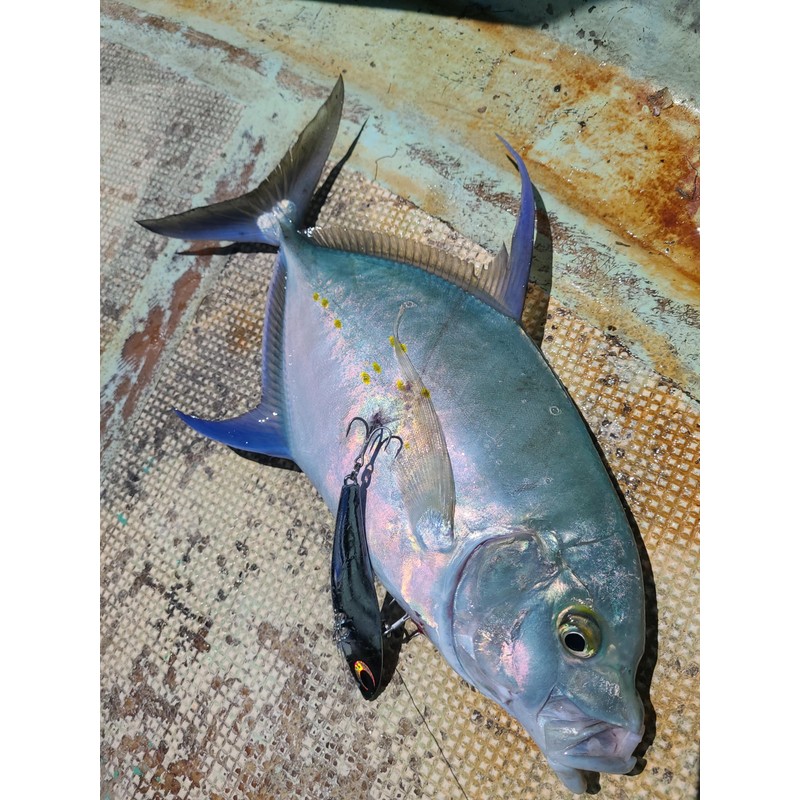 NatureBoys Tetsuwan VIB Zn 2.1 oz (60 g)