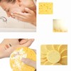 Face Sponge, Pack of 10 Cleansing Sponge, Compressed Face Sponges,