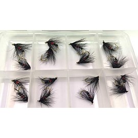 BestCity Fly Fishing Bibio Selection 16 Wet Flies with FREE FLY BOX sizes 10-16#315