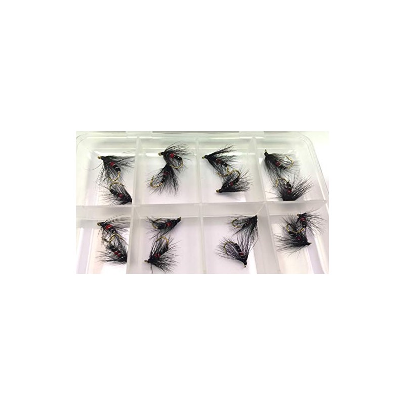 BestCity Fly Fishing Bibio Selection 16 Wet Flies with FREE