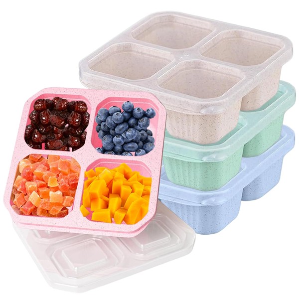 Kaelix 4 Pack Reusable Snack Boxes - Sectioned Lunch Containers