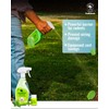 All Natural Peppermint Oil Spray, Non-Toxic Rat Repellent to Repel