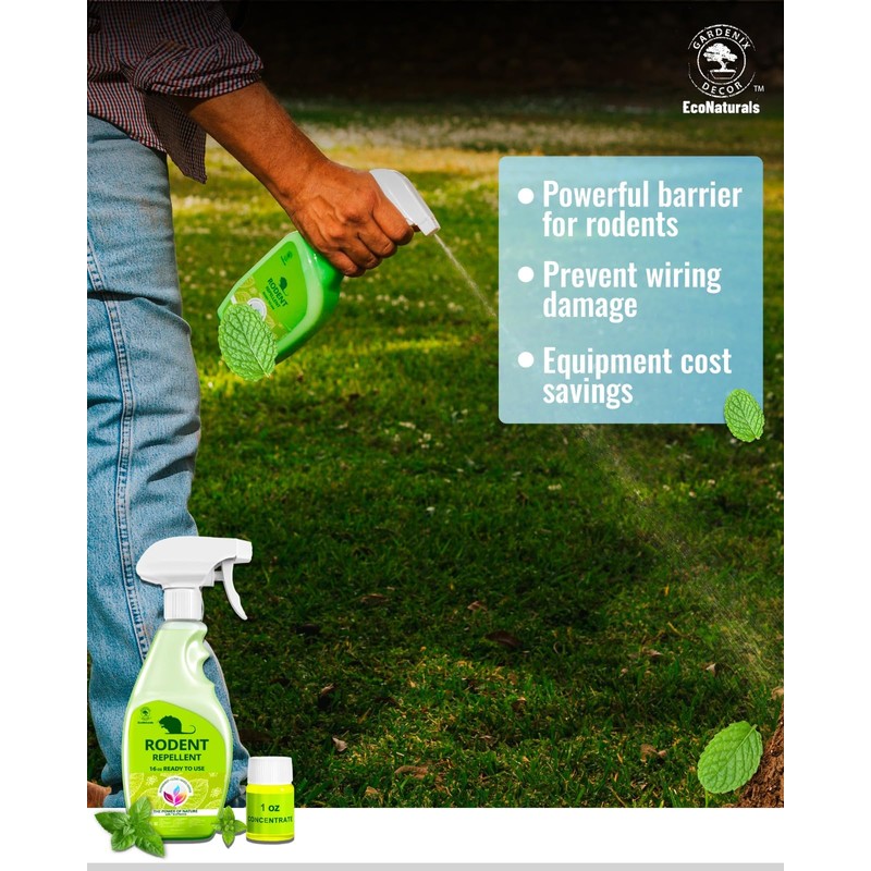 All Natural Peppermint Oil Spray, Non-Toxic Rat Repellent to Repel