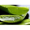 Gel Aloe Vera Sabila 500 Gramos Tipo de envase POLIETILENO