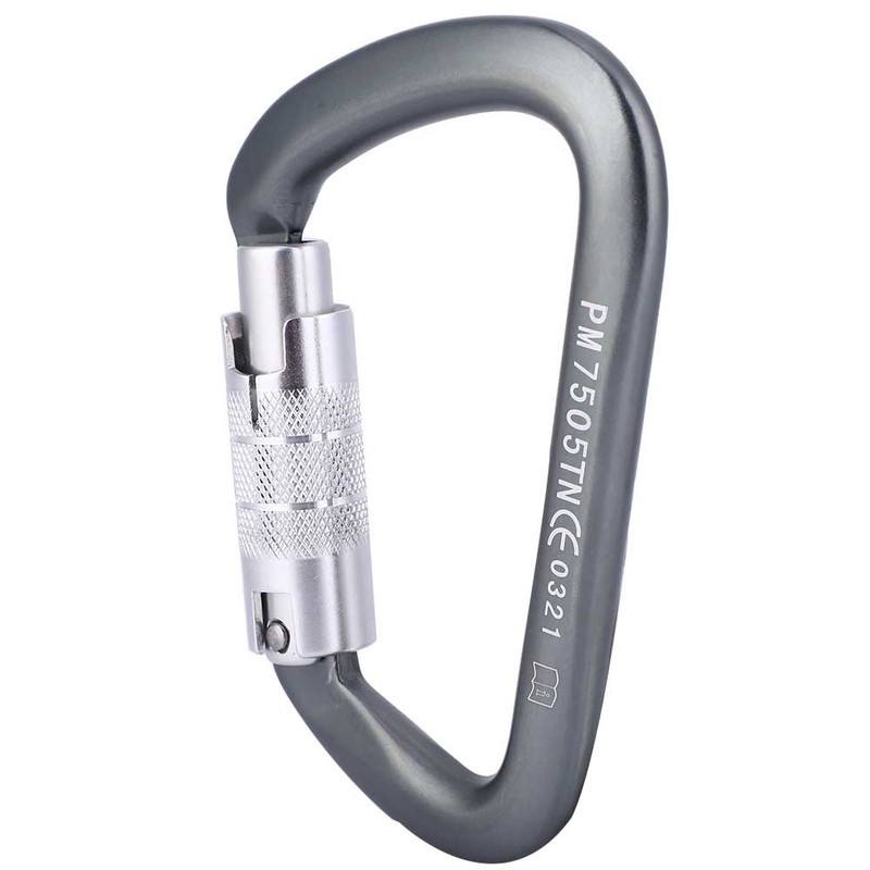 D Type Carabiner Rock Climbing Aviation Aluminum Outdoor Master Lock