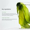 BIODANCE Mascarilla refrescante de algas marinas profundas, mscara de hidrogel
