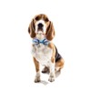 unique style paws Dog Collar with Bowtie, Durable Adjustable Dog
