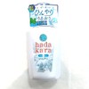 Lion Hadakara Foam Body Soap, Cool Type, 18.9 fl oz