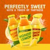 Wonder Lemon Organic Lemon Cold Pressed Juice, Variety Pack, 8.45oz,