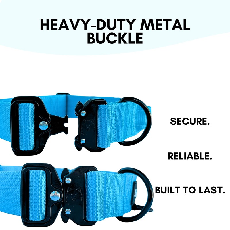 ShawnCo Basecamp Dog Collar- Premium, Adjustable, Heavy-Duty Nylon Tactical Dog