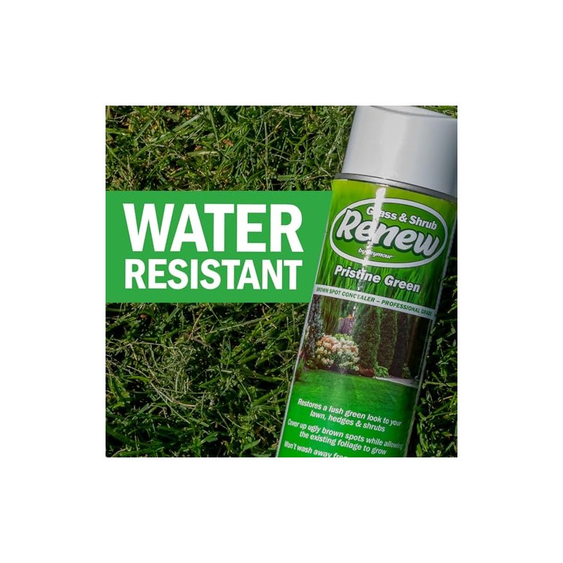 Seymour RENEW Grass and Shrub (Pristine). 17 oz. Can. (Pack