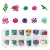 4 Boxes Dried Flowers for Resin, Gartful 48 Styles Natural