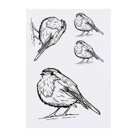 4 x 'Cute Robin Bird' Temporary Tattoos - Water Resistant, Skin-Safe, Non-Toxic Transfers, Mixed Sizes (TO00008664)