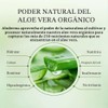 Aloderma Pure Aloe Vera Gel - Soothes and Hydrates Dry,