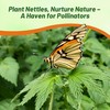 Outsidepride Stinging Nettle Seeds - 10000 Pcs Perennial and Low