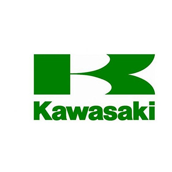 Kawasaki OEM Replacement Oil Filter O-Ring Z125 Pro 92055-3018