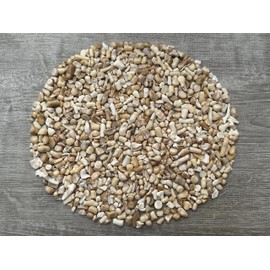 WHOLESALE Natural Semi Tumbled White Bamboo Coral Gemstone Chips, Crushed Mini Crystals, Undrilled Crystal Chips (White Bamboo Coral, 0.5 Pound)