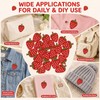 20Pcs Strawberry Iron On Patches Embroidered Fruit Appliques