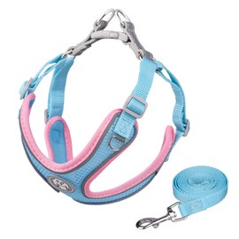 DICOCO Dog Harness, Summer, Nighttime Anti-Light, Small Dogs, Breathable, Cute, Medium Dogs, Pull Prevention, Chihuahua, Walking, Adjustable, Stylish, Popular Torso, Blue B, L
