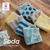B-PLAID Handkerchief, Towel Handkerchief, Imabari Towel, Set of 2, 4,
