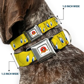 Buckle-Down Seatbelt Buckle Dog Collar - Tweety Bird Expressions Yellow - 1" Wide - Fits 15-26" Neck - Large