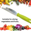 Fruit Peeler Cutter Vegetable Knife Double Blade Stainless Steel for