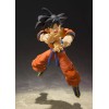 Bandai Son Goku {A Saiyan Raised On Earth Ver.} [Dragon