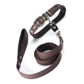 PetTec Dog’s Leash & Collar Set in Trioflex, 2m Leash + Quick Connector, Magnetic Link for Quickly Opening and Closing the Hook on Pet’s Lead in 1 second, Stainless, for Dogs up to 40kg