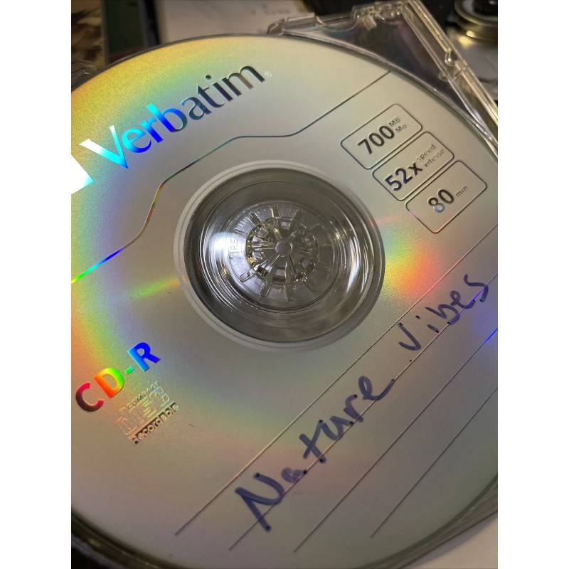 Navajo Music/Nature Vibes