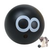 Cat Toy Ball | Interactive Cat Ball | Fun Kitten