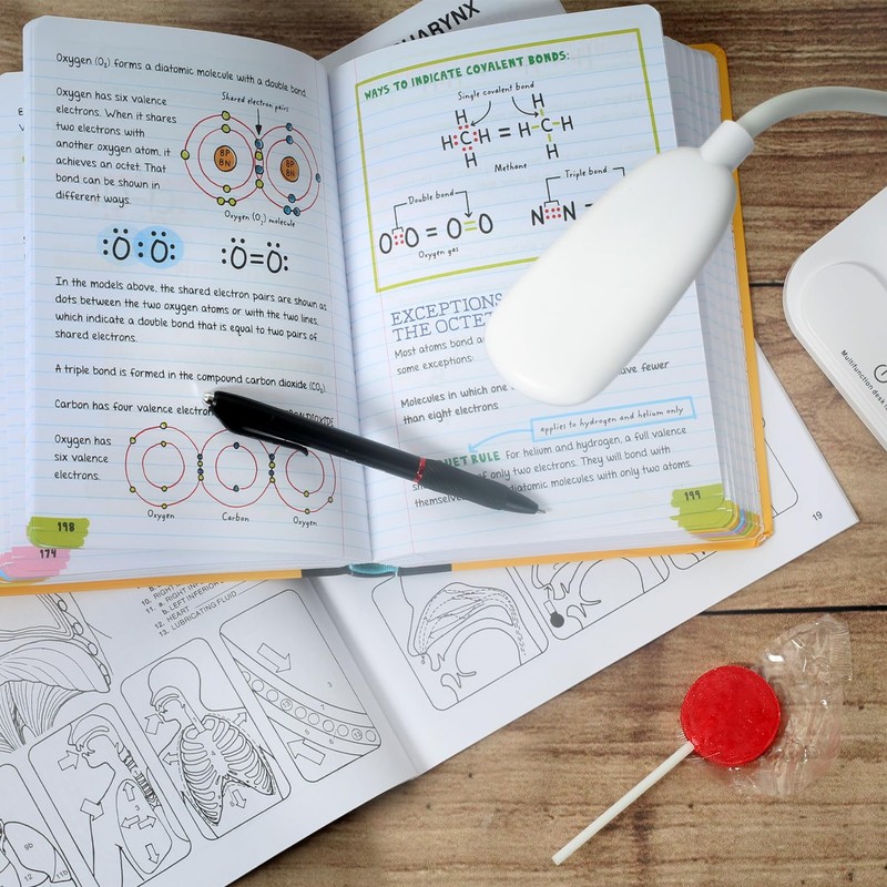 A Great Surprise Classic Lollipops - 3 Pounds - Halloween