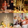 LED Lichterbaum, 60cm/2ft Birke LED Lichterbaum Innen mit 24 LEDs