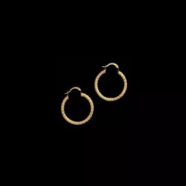 NYCFASHIONJEWELS Elysee Diamond Cut Hoops