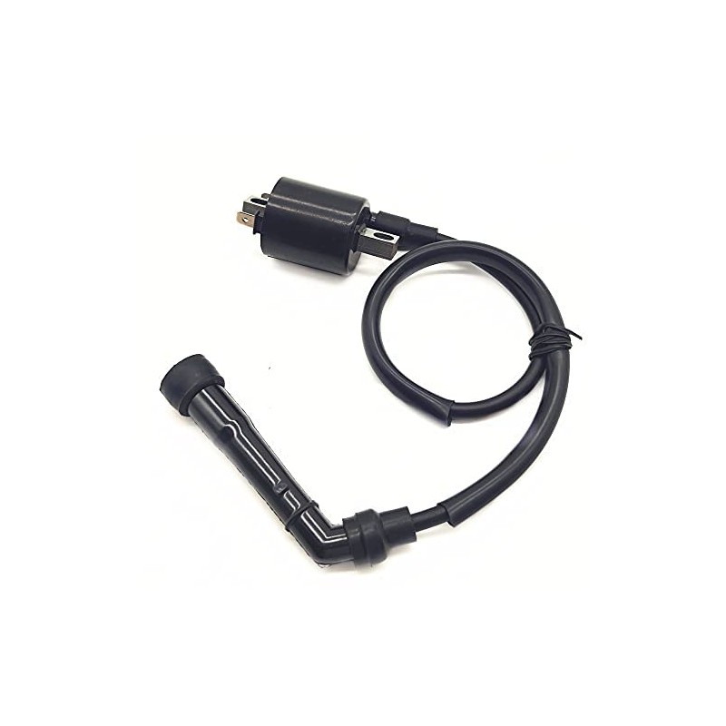 Bobina de encendido para motocicleta Yamaha Grizzly 700 1D7-82310-00-00 1D7-82310-01-00