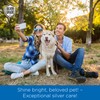 SILVER GRADE Wound Spray for Pets – Colloidal Silver Wound