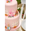 Anniversary House Carrot Sugarcraft Toppers, SF591