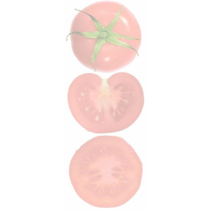 Lacor-60351-SERRATED TOMATO PEELER