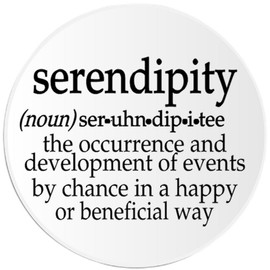 Kiwi Gifts Serendipity Definition - 100 Pack Circle Stickers 3 Inch