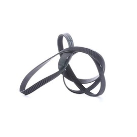 CONTITECH 6PK2225 V-Ribbed Belt