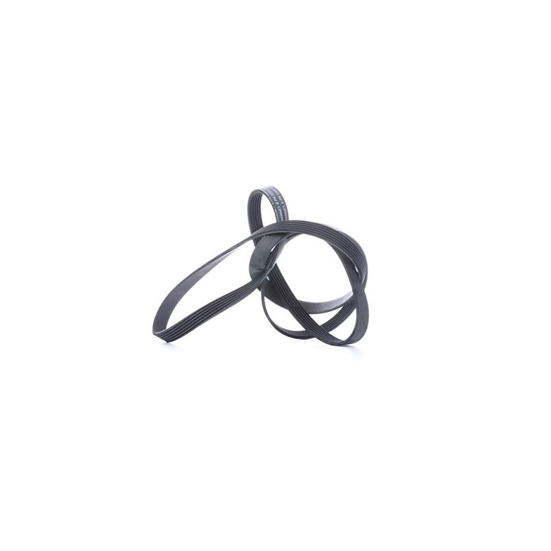 CONTITECH 6PK2225 V-Ribbed Belt