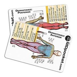 Rapid ID - Dermatomes (Vertical)