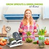 Premium Sprouts Growing Kit & Green Onion Regrower with 2