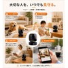Compact Camera (2026 New Version, 1080 Image Quality, Infrared Shooting),