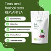 Red Berry Tea Loose Organic 100g (50 Cups) | Caffeine