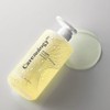 Carenology 케어놀로지 레미디 밀도 볼륨 탈모완화 /카페인/비오틴/엑토인 샴푸500ml 2개