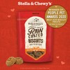 Stella & Chewy's Freeze-Dried Raw Coated Dog Biscuits Grass Fed