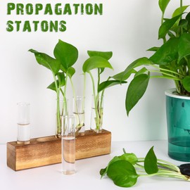 ONEPENG Propagation Station Plant Terrarium with Wooden Stand for Propagating Hydroponic Plants Home Office Decor Plant Lover Gifts (Brown, 8.7" L x 1.6" W x 2" H)