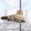 Cat Window Perch, Wireless Cat Window Hammock Foldable with 4
